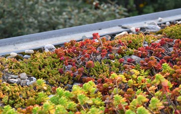 the cost of Higher Rads End green roof installation