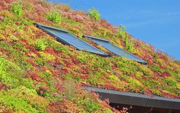 Higher Rads End living roof systems