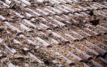 Higher Rads End roof cleaning companies