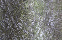 Higher Rads End fibreglass roof work