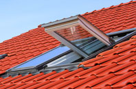 Higher Rads End roof window